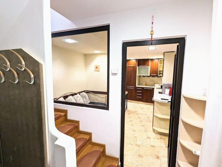 Maisonette Balcesco Braşov Extérieur photo