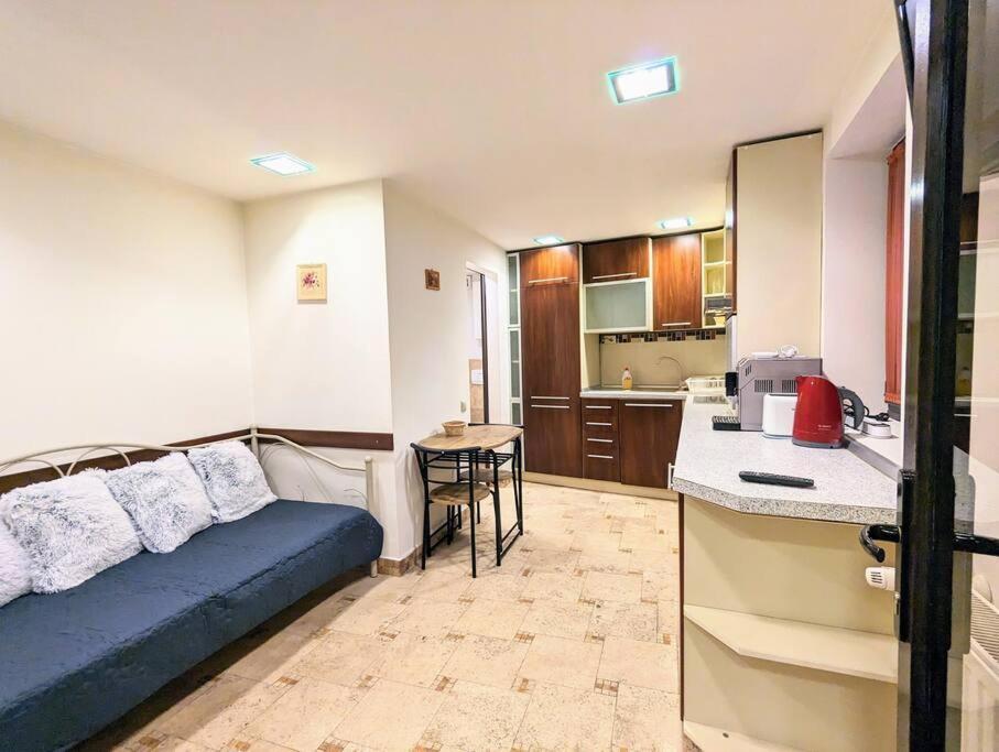 Maisonette Balcesco Braşov Extérieur photo